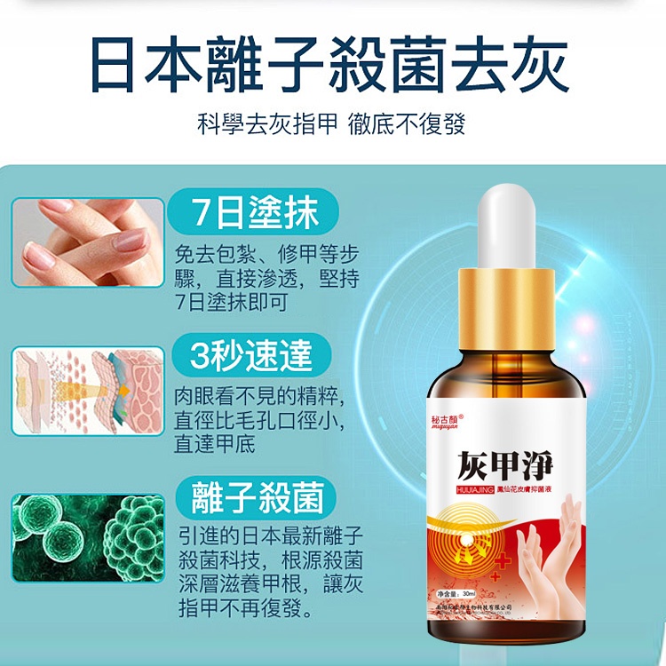 灰甲淨