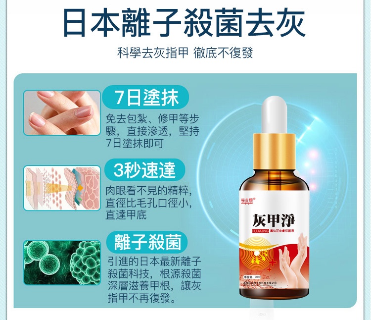 灰甲淨