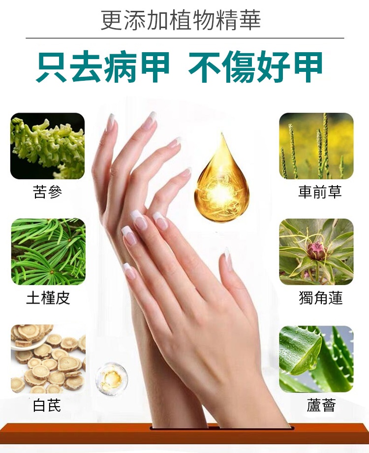灰甲淨