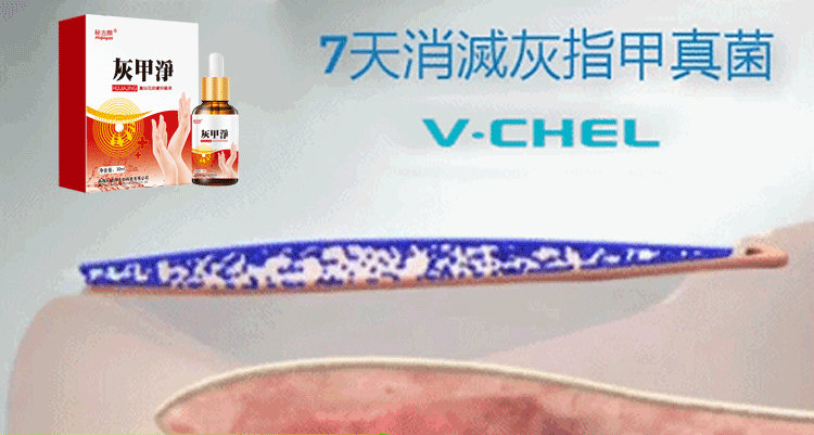 灰甲淨