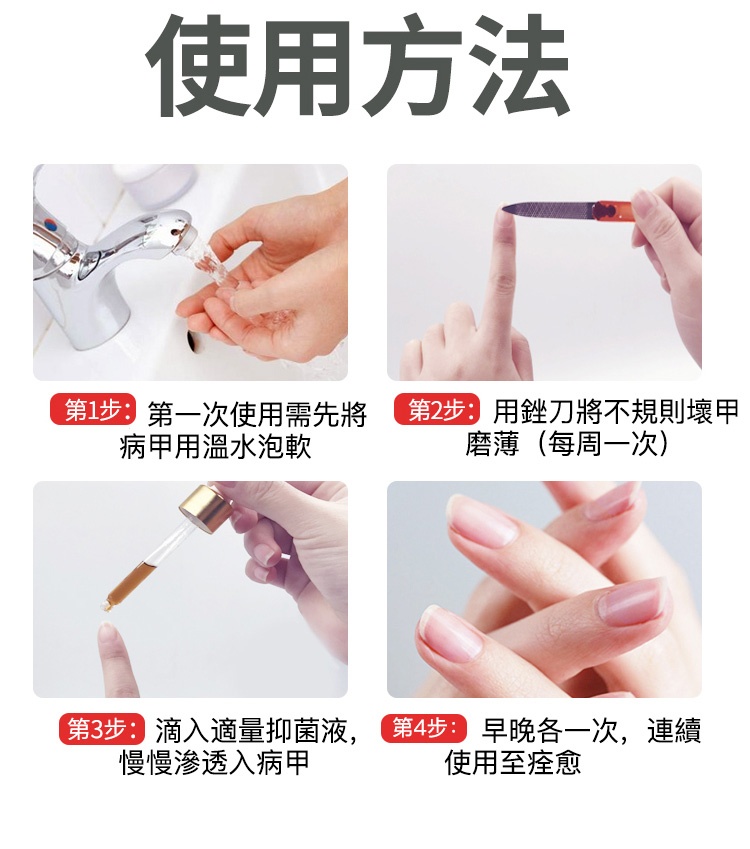 灰甲淨